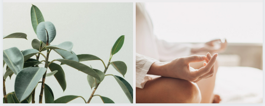 The Natural Way to Better Health - A Wholesome Lifestyle Part I