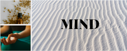 The Natural Way to Better Health - A Wholesome Lifestyle Part II: The Mind