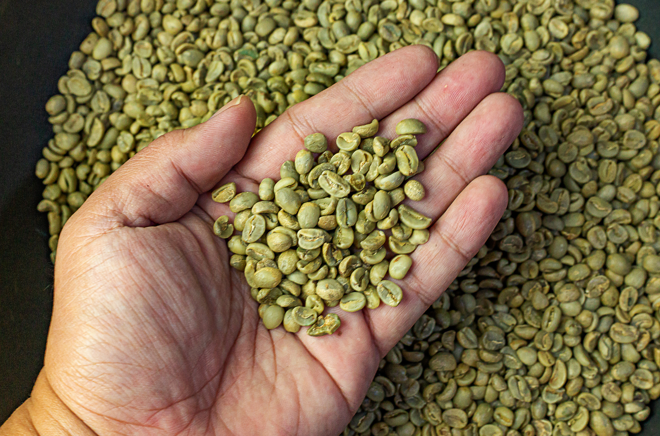 Coffea Cruda