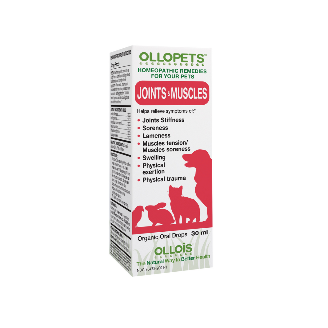 Ollopets Joint & Muscles