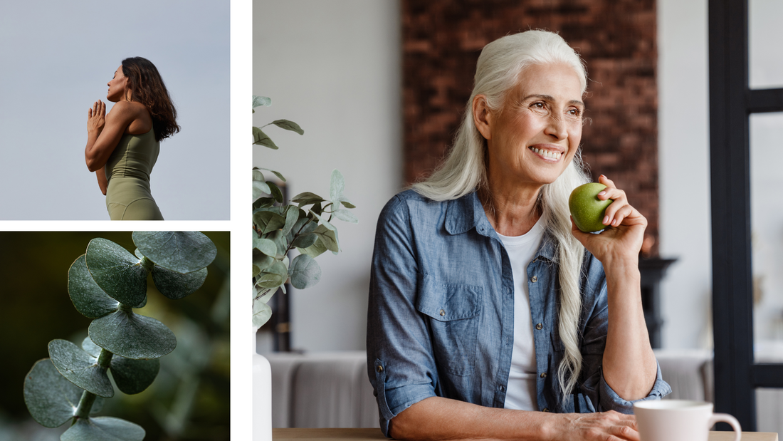 Healthy Habits To Implement For The New Year Ollo s healthy-habits-to-implement-for-the-new-year-ollo-s
