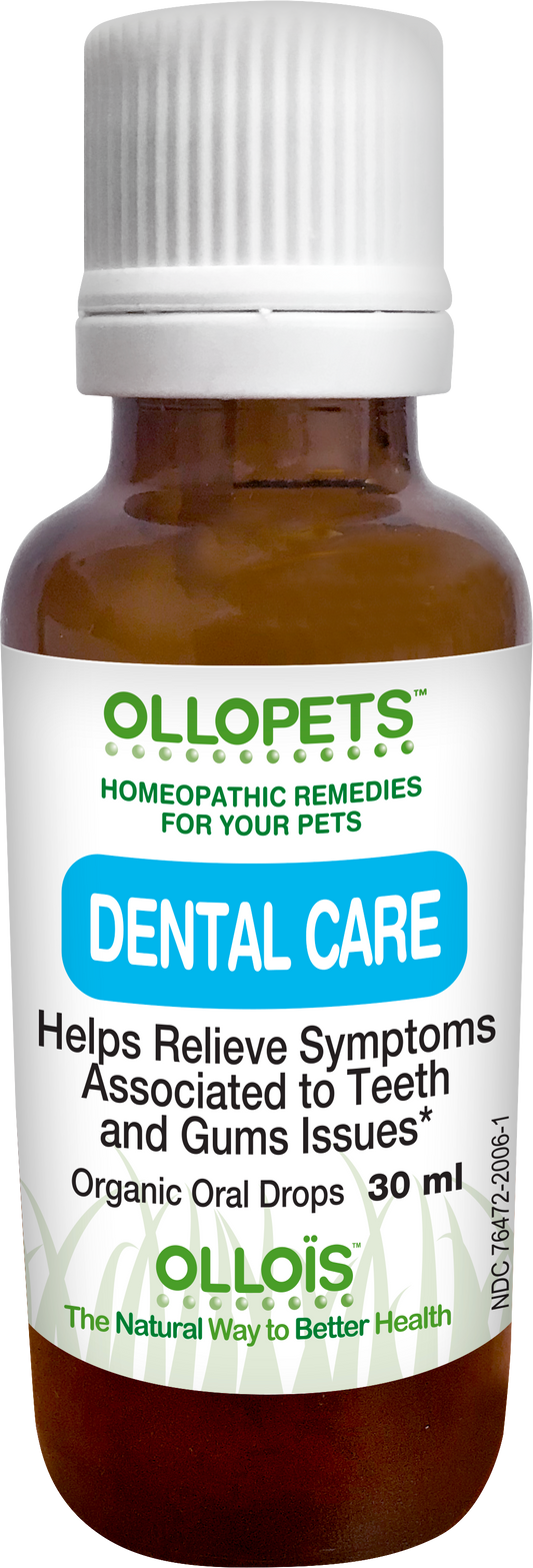 Homeopathy for Cats Ollo s