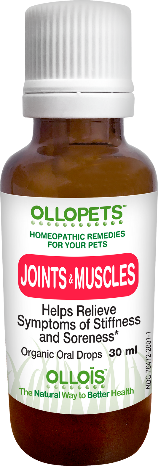 Ollopets Joint & Muscles