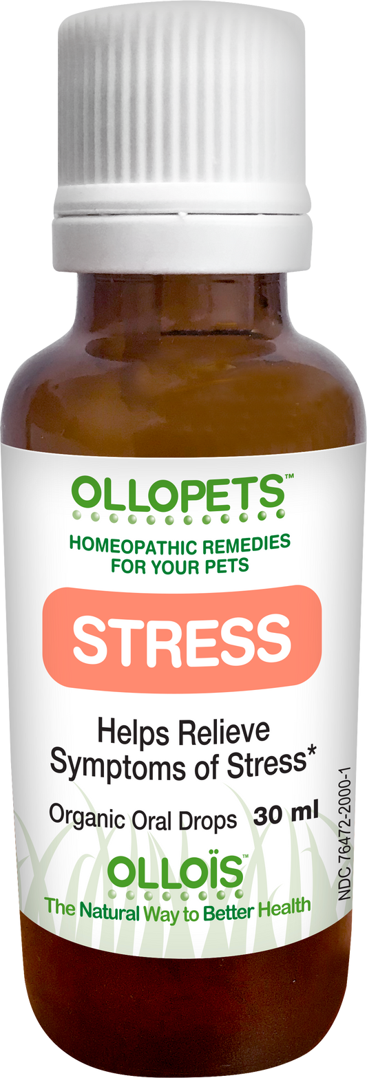 Stress Relief For Pets - Ollopets